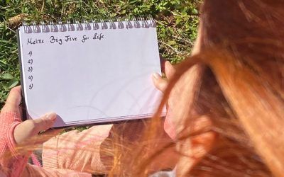 Bist du dir deiner Big Five for Life Bewusst? (nach John Stelecky)